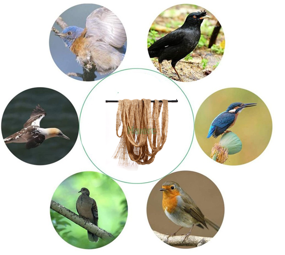 New bird netting solution revolutionizes crop protection
