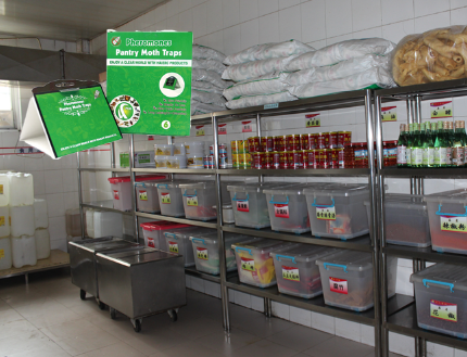 A New Solution for Controlling Food Storage Moths: The Moth Trap