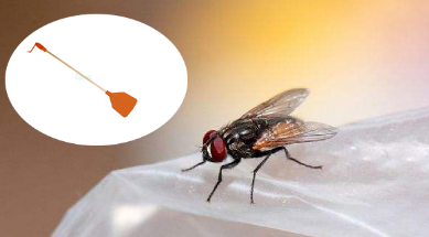 Introducing the sturdy and durable leather fly swatter: your ultimate indoor pest control solution!