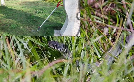 Introducing Foldable Snake Pliers: A Sustainable Solution for Animal Control and Cleanup