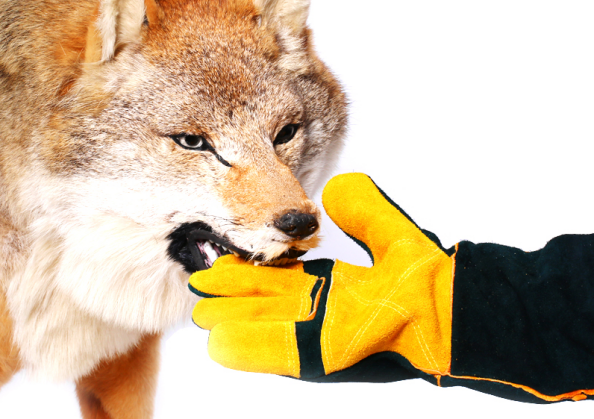 Introducing Haierc Safety Protective Work Gloves: The Ultimate Defense Against Animal Bites and Scratches