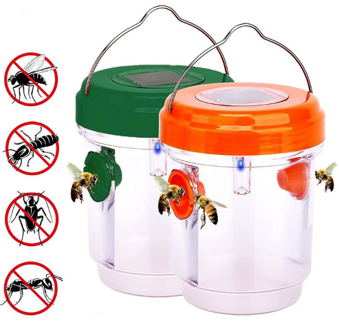 Spring and Autumn: The Best Time to Use Solar-Powered Wasp Trapping Bottles for Wasp and Hornet Control