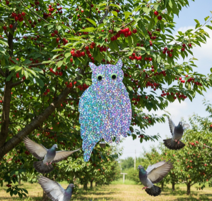 New Bird Repellent Product Launch: Flashing Owl