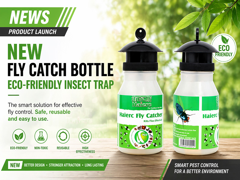 Fly Catch Bottle & Fly Trap Bottle: A Simple and Eco-Friendly Insect Trap Solution
