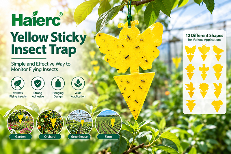 How to Choose a Yellow Sticky Insect Trap for Garden, Orchard and Greenhouse Use