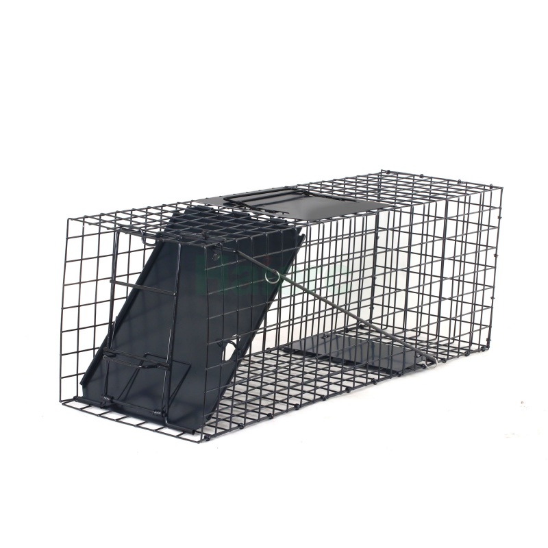 Foldable Humane Live Animal Trap Cage 62.5x21.5x19.1cm Heavy Duty Wire Mesh Pest Control Catch Cage for Stray Cats, Rabbits, Raccoons, Opossums