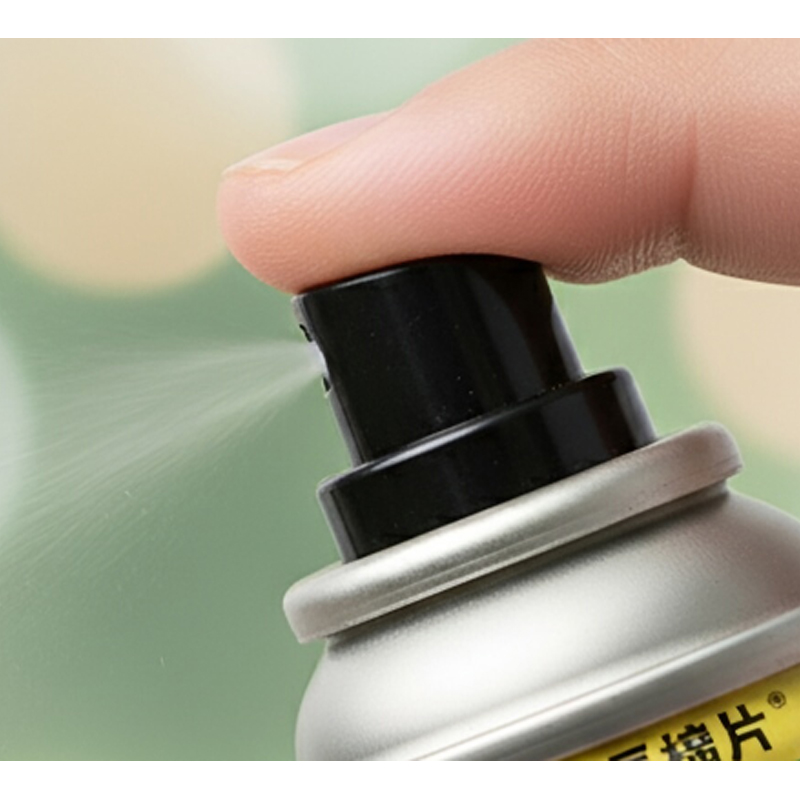 Haierc Home Aerosol Insecticide Spray for Indoor Pest Control Killing Fleas Flies Bed Bugs Mosquitoes