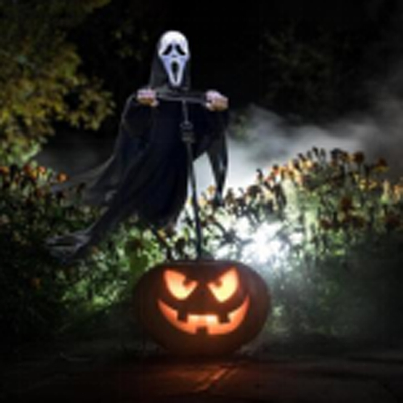 Scarecrow Bird Repellent Outdoor Garden Pest Control Realistic Scarecrow for Farm Orchard Yard HC1642